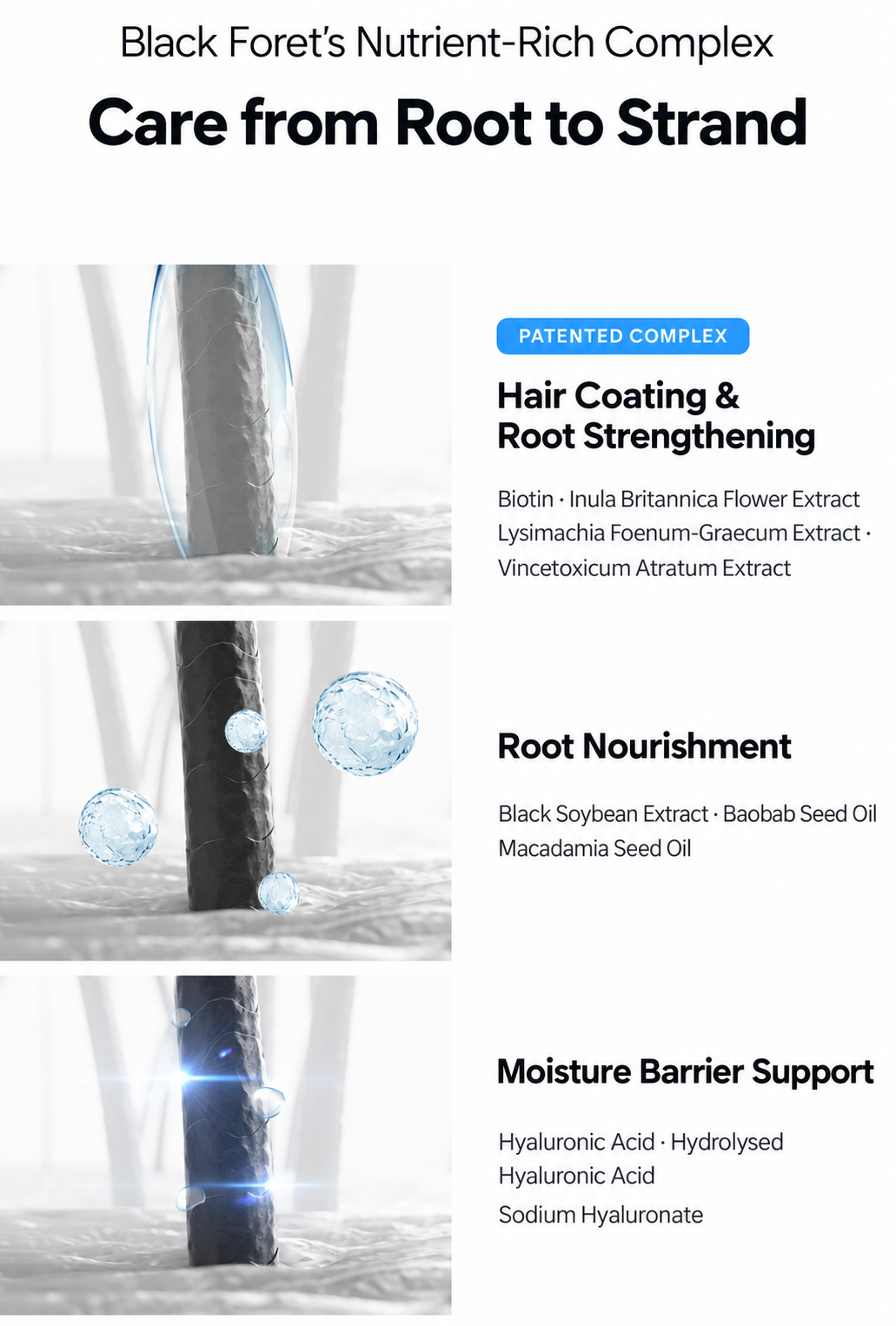 Black_Foret_Frozen_Shampoo_Complex