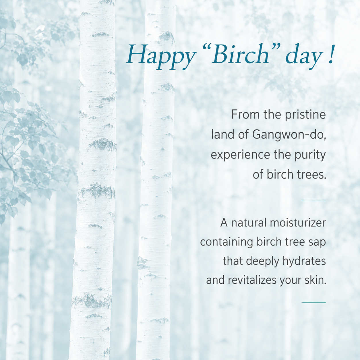 Senite Happy Birch Waterful Ampoule Toner