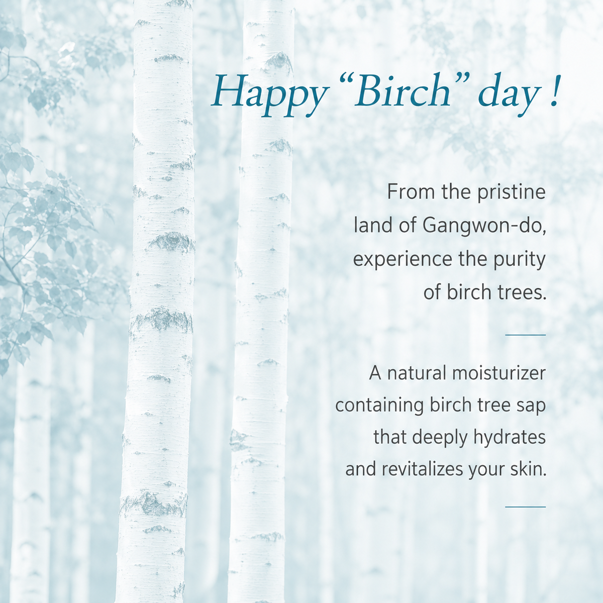 Senite Happy Birch Waterful Ampoule Toner